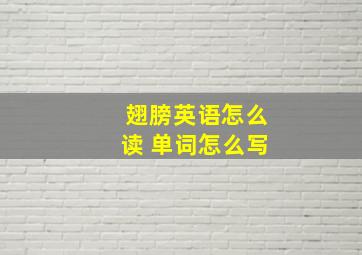 翅膀英语怎么读 单词怎么写